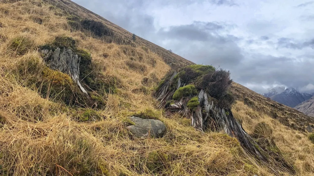 scottish landscape